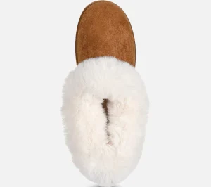 Cheap Cozy Campfire - Winter Nights Dame Sko